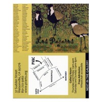 Barbara Downs announcement for Los Pajaros exhibition