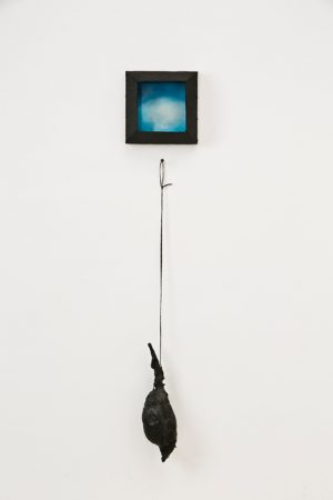 Nothing but Blue Skies (birds and skies), encaustic and mixed-media on panel