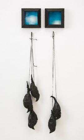 Nothing but Blue Skies (birds and skies), 2017