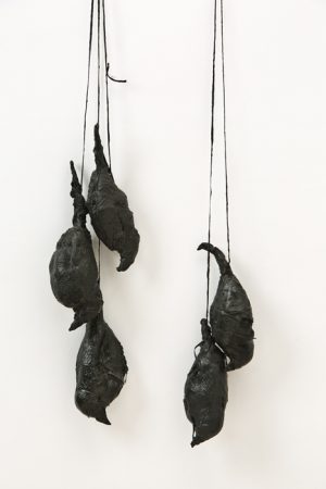 Nothing but Blue Skies (birds and skies), 2017