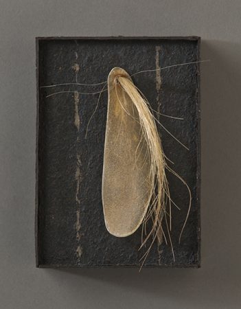 original artwork by Barbara Downs