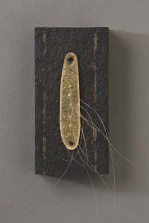 original artwork by Barbara Downs