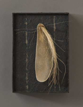 original artwork by Barbara Downs