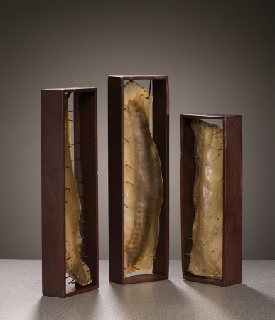 original artwork by Barbara Downs